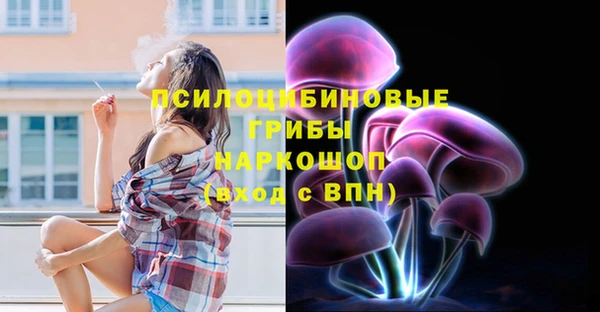 стаф Волоколамск