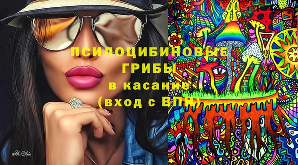стаф Волоколамск