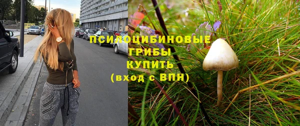 мяу мяу мука Верхнеуральск