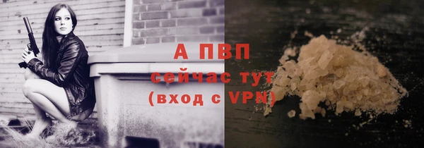 стаф Волоколамск