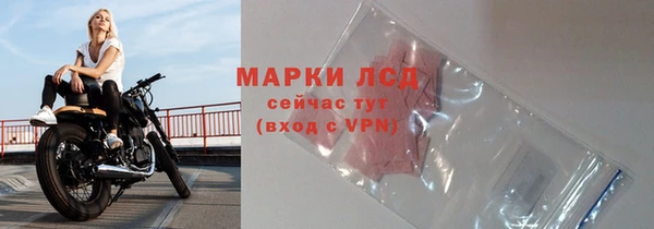 стаф Волоколамск