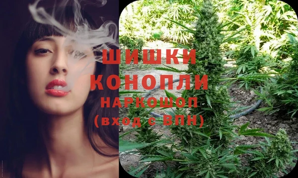 ешки Волосово