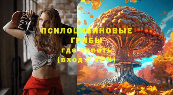 ешки Волосово