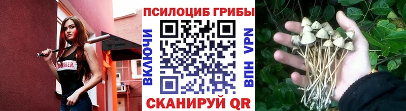 наркошоп  mega зеркало  Псилоцибиновые грибы GOLDEN TEACHER  Остров 